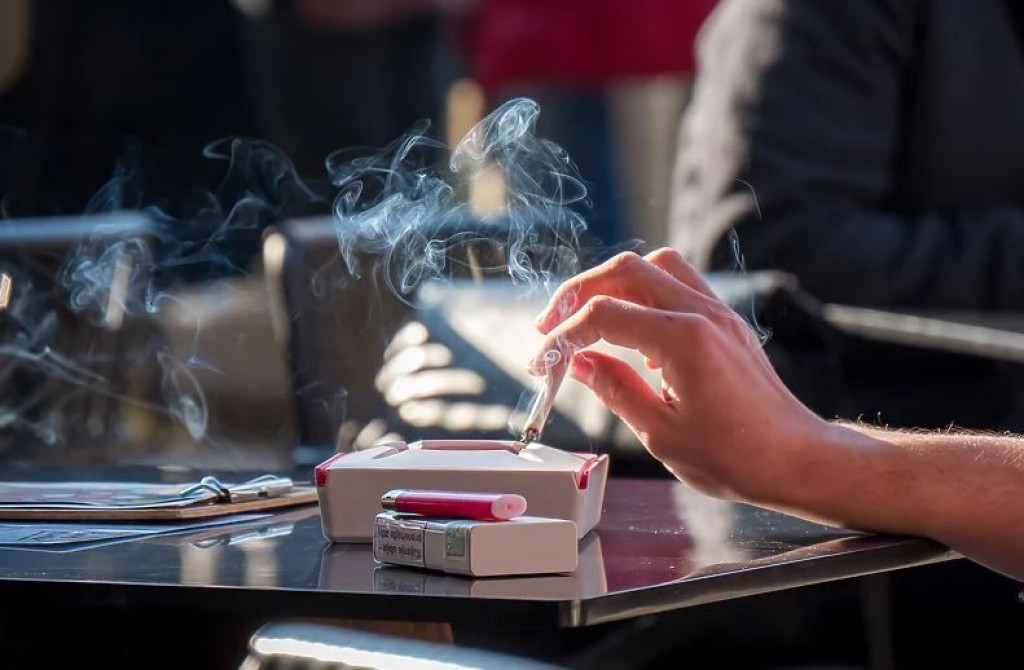 zabrana pušenja, Dom naroda Parlamenta BiH