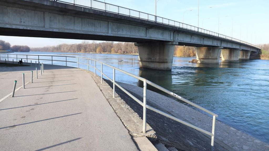 srna, utapanje, policija