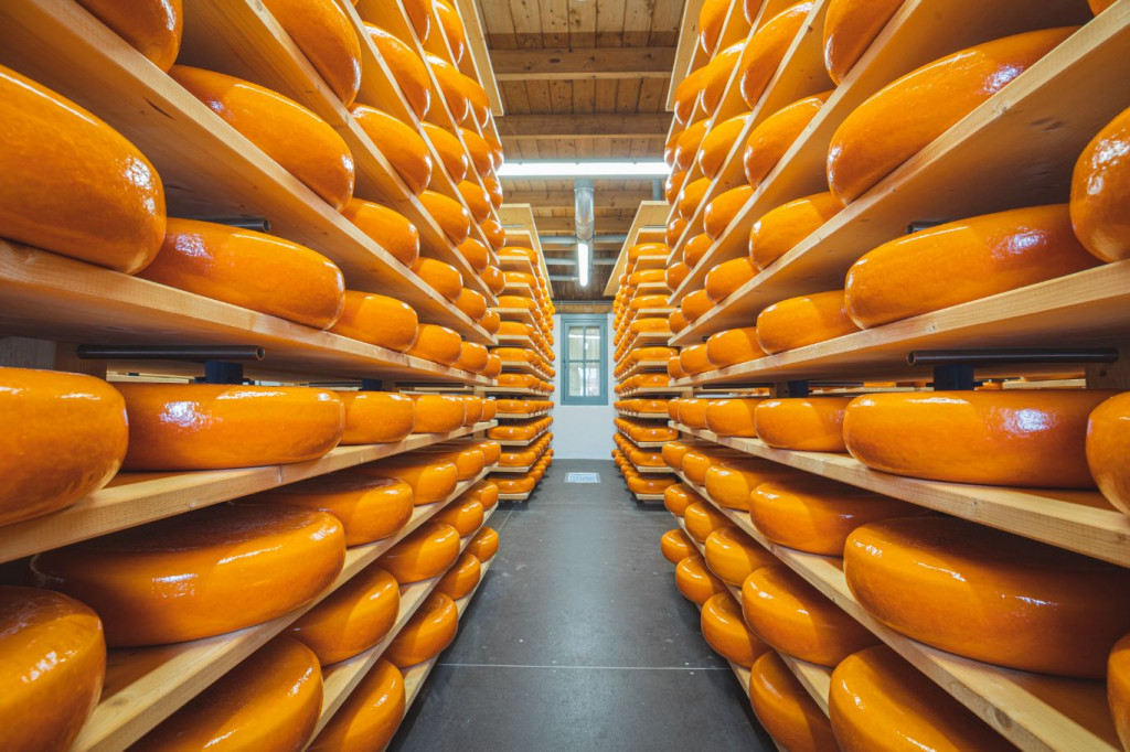 ukraden sir,Njemačka,Nizozemska