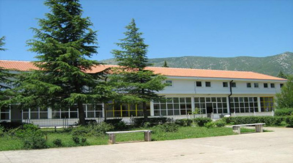 univerzitet džemal bijedić, fakultet informacijskih tehnologija