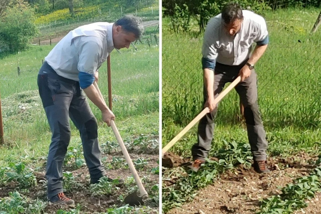 Fadil Novalić, poljoprivreda, Vlada FBiH