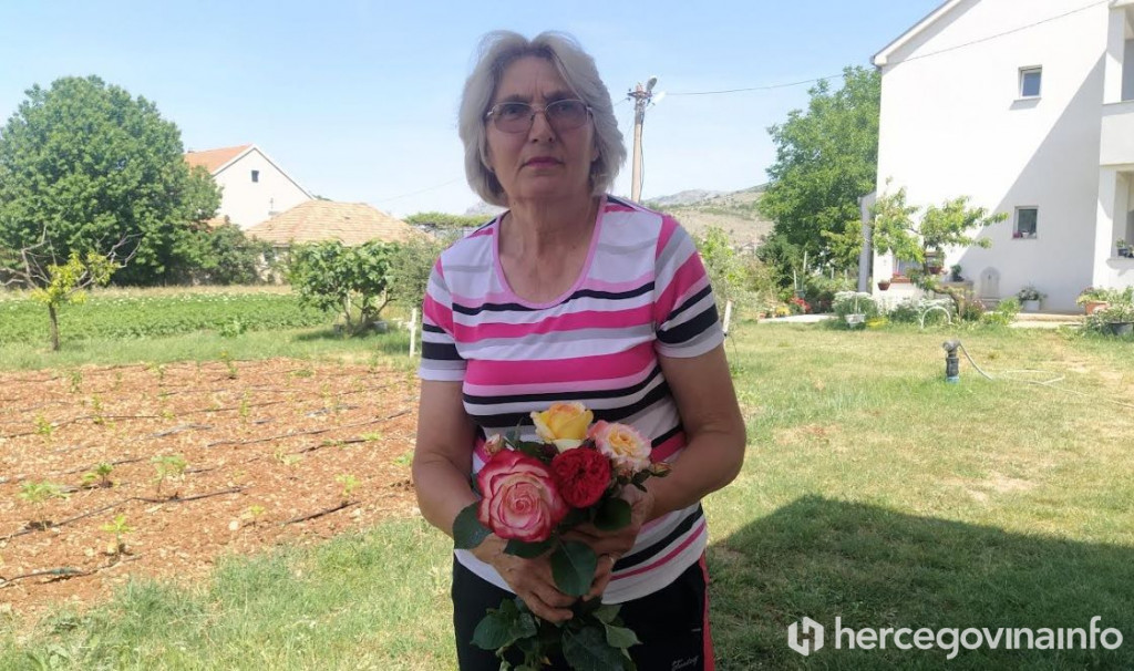 Ljubica Petrovo Polje ruže 