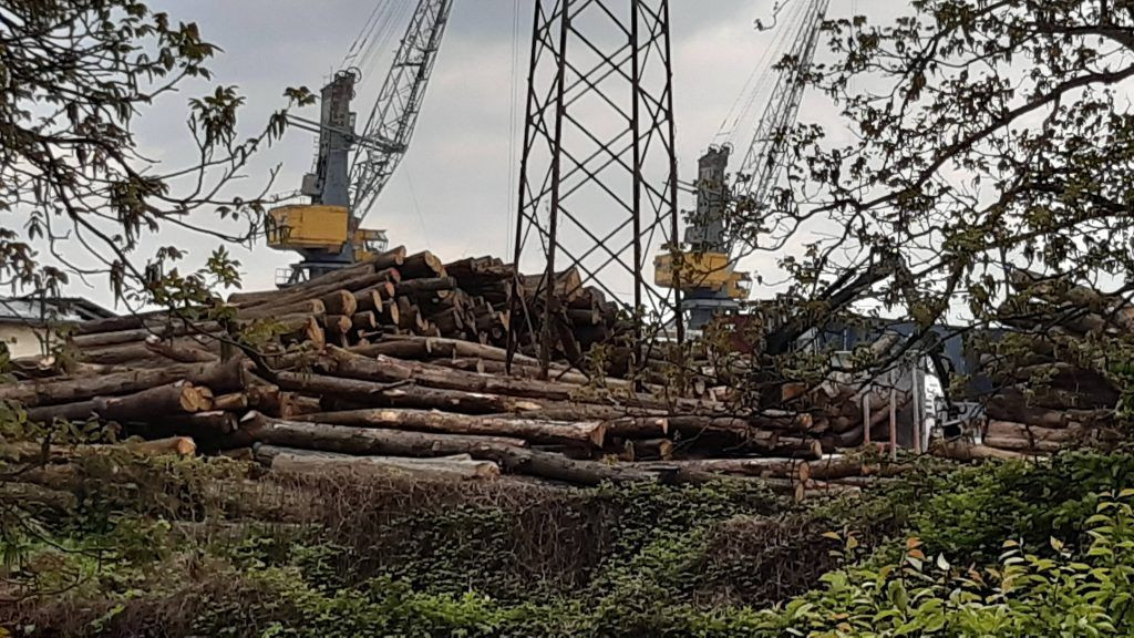 Banja luka,Republika Srpska,kinezi