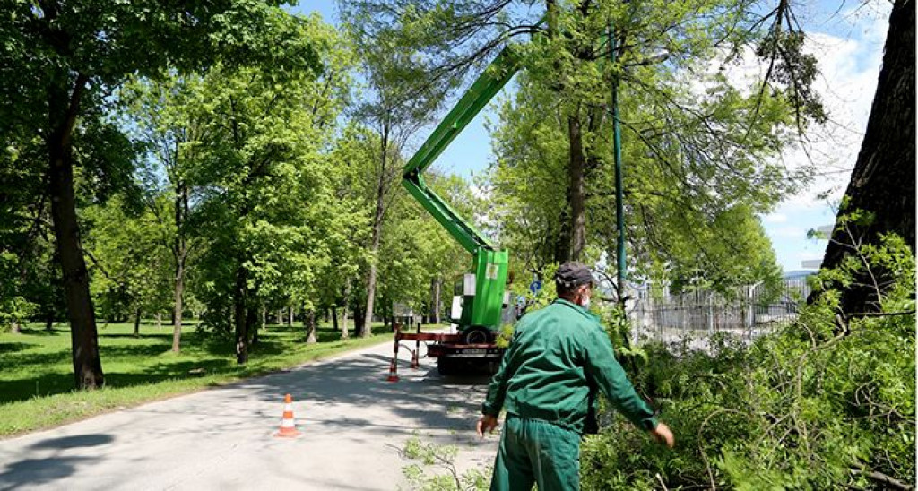 krivotvorena diploma,dug,KJKP "Park“,Safet Baltić,KJKP "Park“,Safet Baltić
