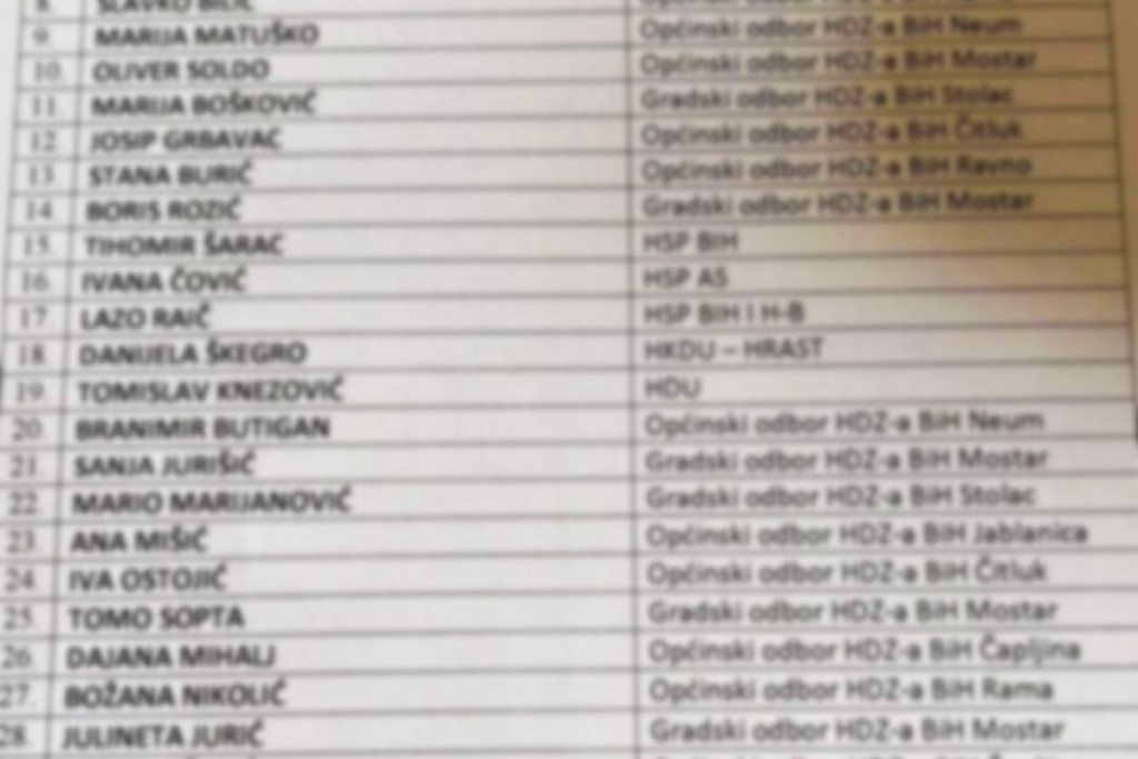 HDZ BiH,opći izbori,lista kandidata,vijesti,opći izbori 2022