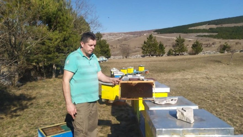 Tomislavgrad,pčele,košnice