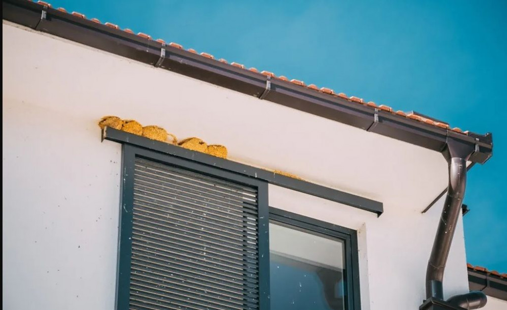 gvardijan,rama šćit,gvardijan,rama šćit,presuda,HO kuća mira