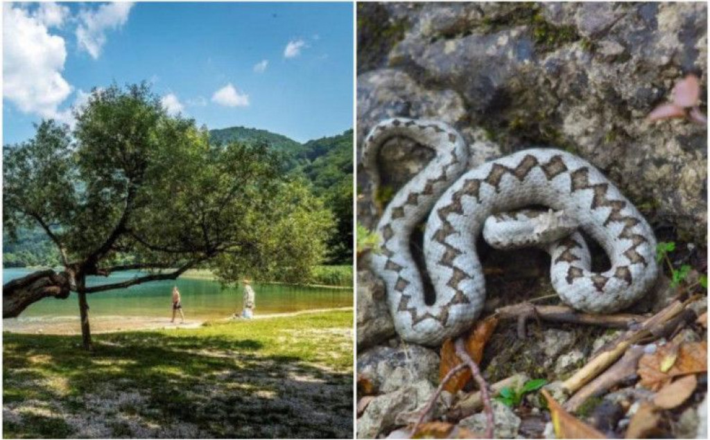 zmija,Boračko jezero,Konjic,Hercegovina