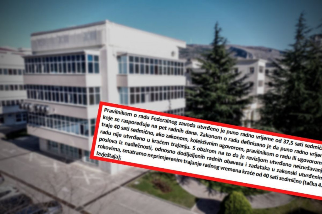 Federalni zavod,MIO/PIO,revizija,FBIH