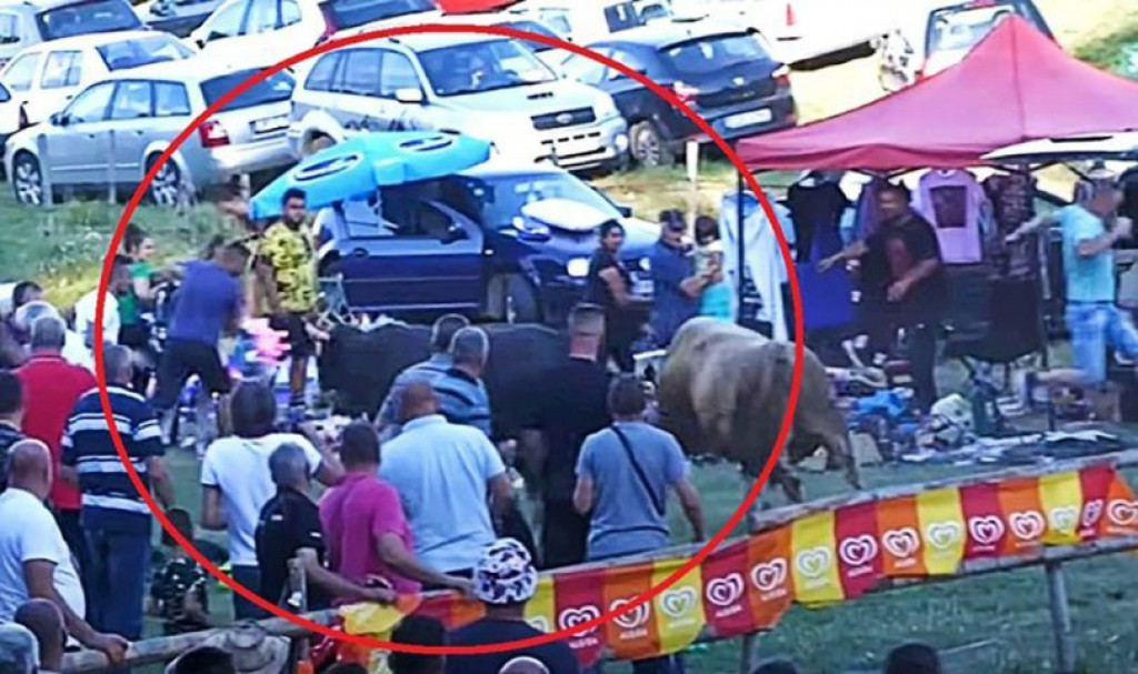 Čevljanovići:,korida,publika