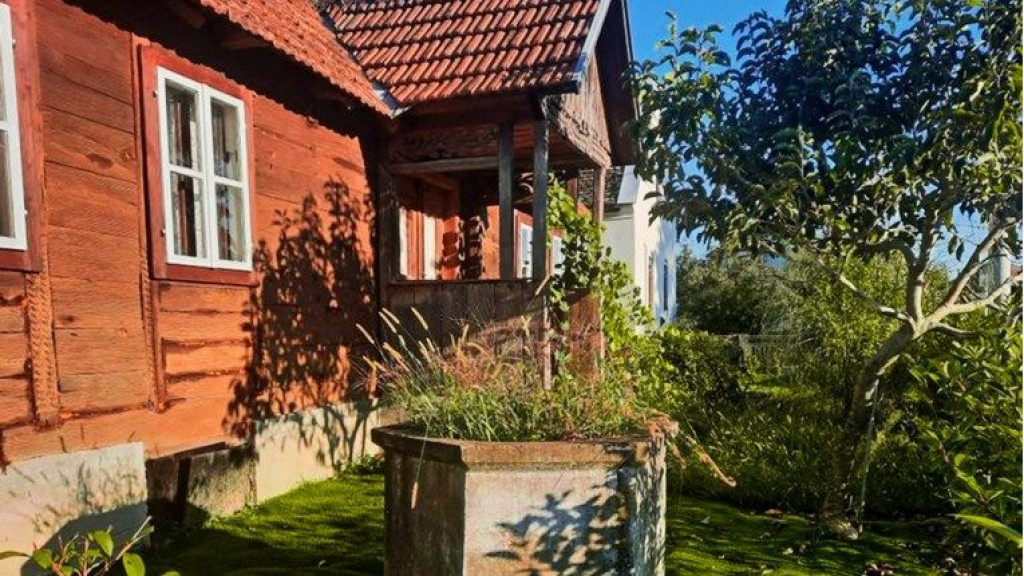 ubojstvo,Street View,google