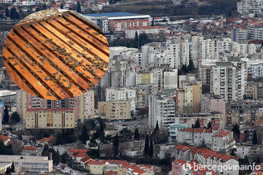 Urbamo pčelarstvo košnice