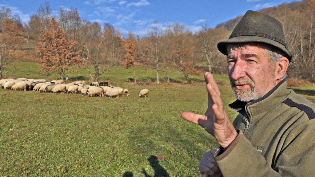 Pastir Vlado Bagarić