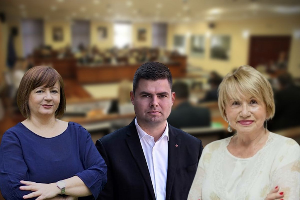 Šunjić Zalihić Ćavar Gradsko vijeće