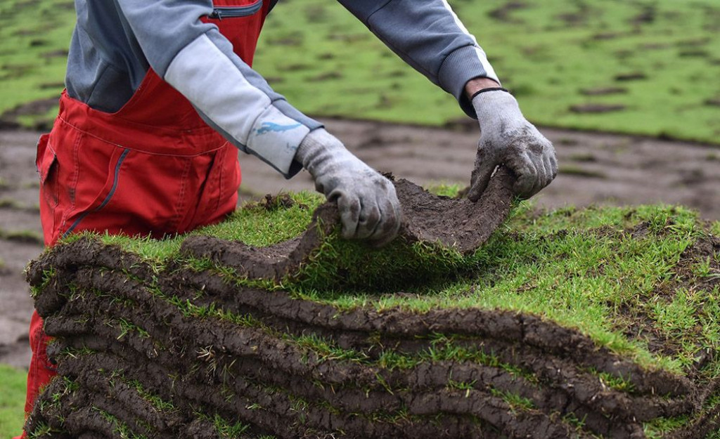 Zrinjski stadion travnjak