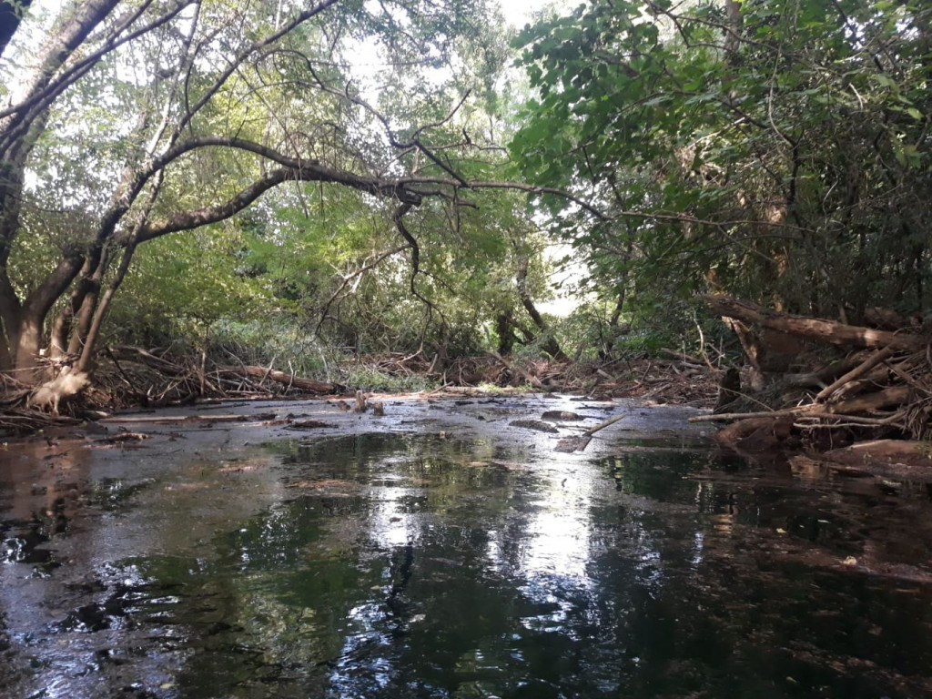 trebižat,ekološka akcija,dm BiH,kampanja ZAJEDNO} za bolje sutra