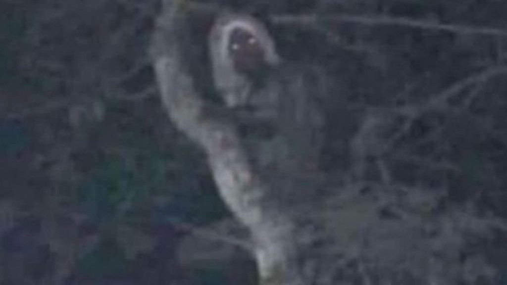 Predsjednik Meksika aluks mitsko biće