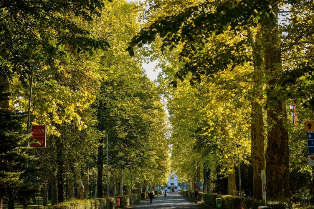 Banja Luka univerzitet