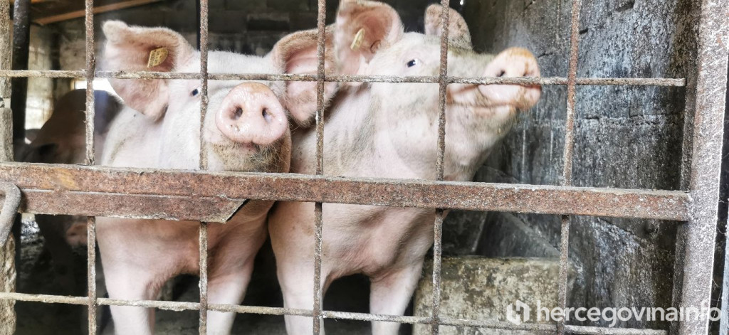 Farma Ljubas Roško Polje