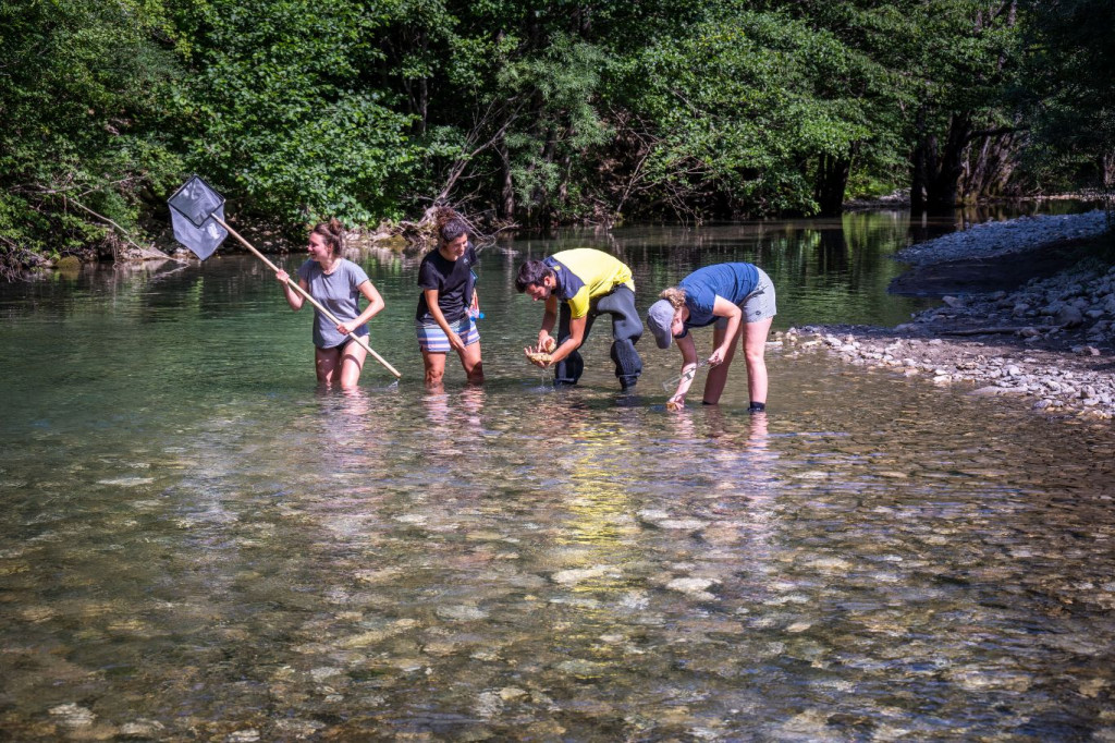 insekt pronađen na Neretvi rijeka Neretva