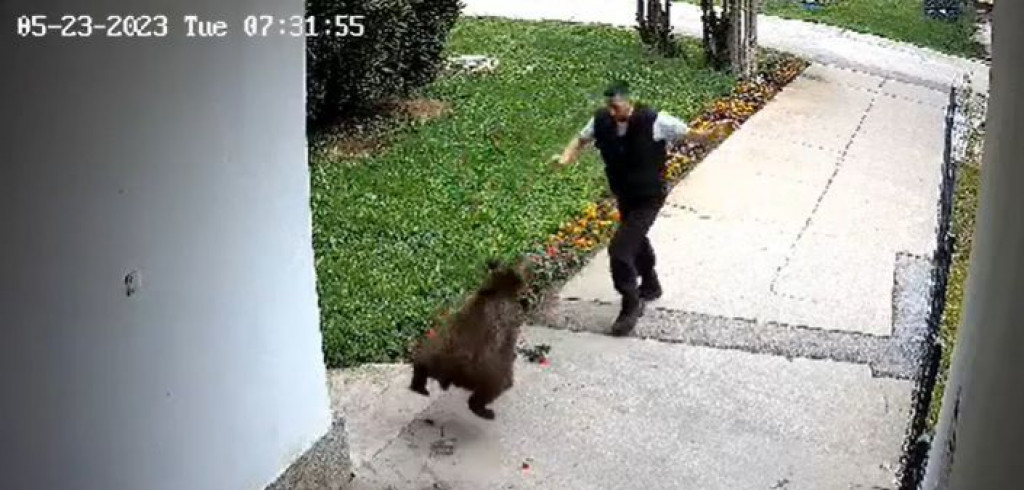 medvjed,napad,binas,Bugojno