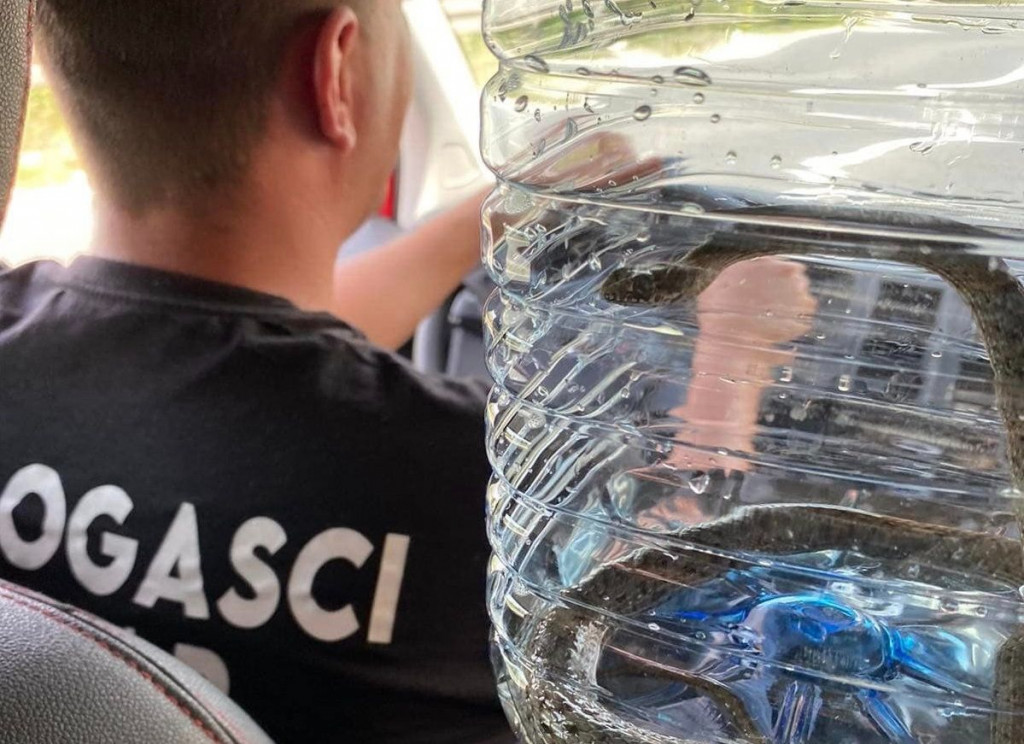 vatrogasci,zmija,opine