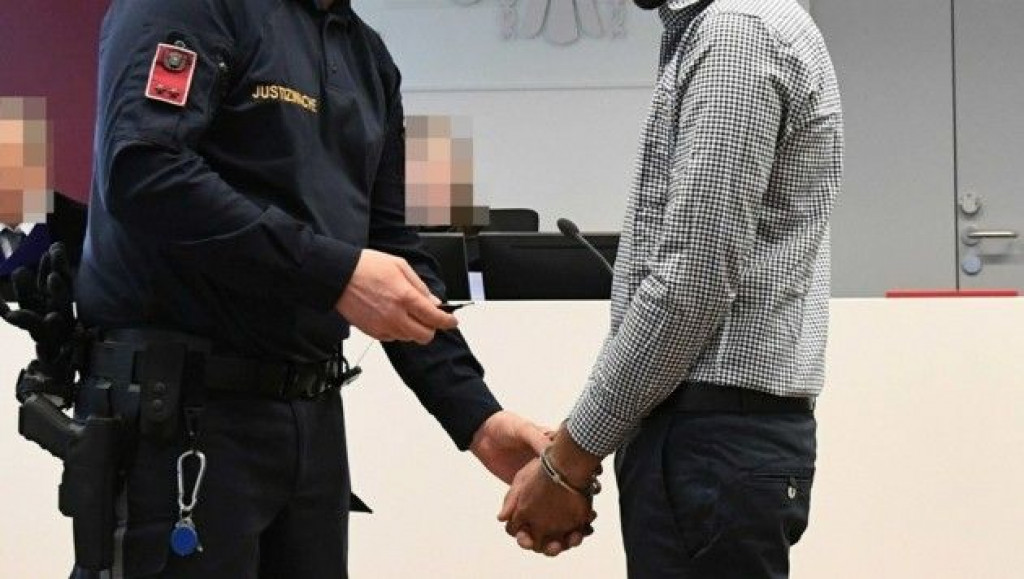 policija austrija uhićenje lisice polizei