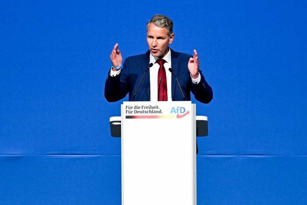 AfD Njemacka