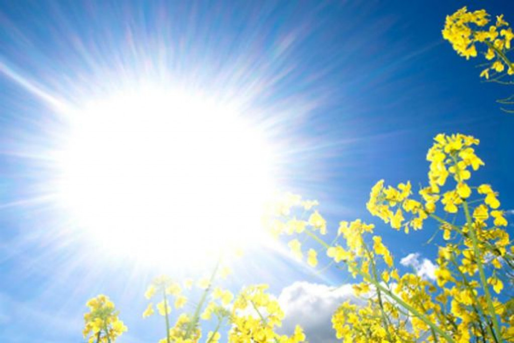 sunčanica,ljeto,toplota ,bebe,toplotni udar