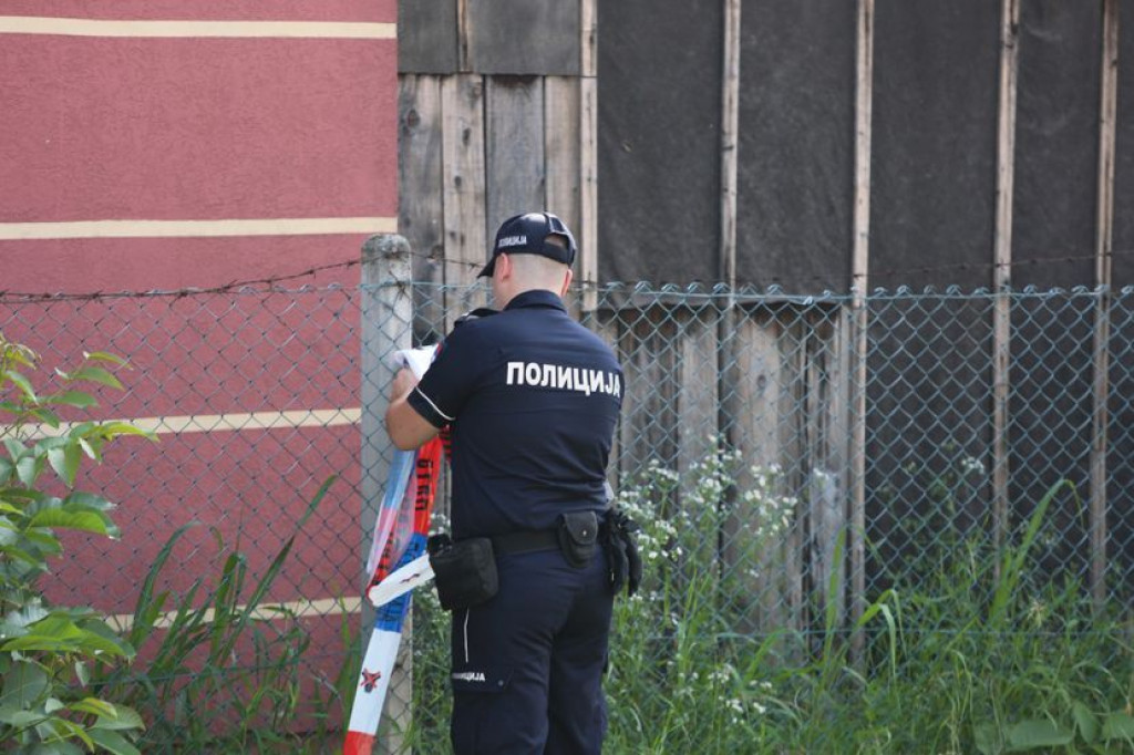 zemun,likvidacija,ubojica