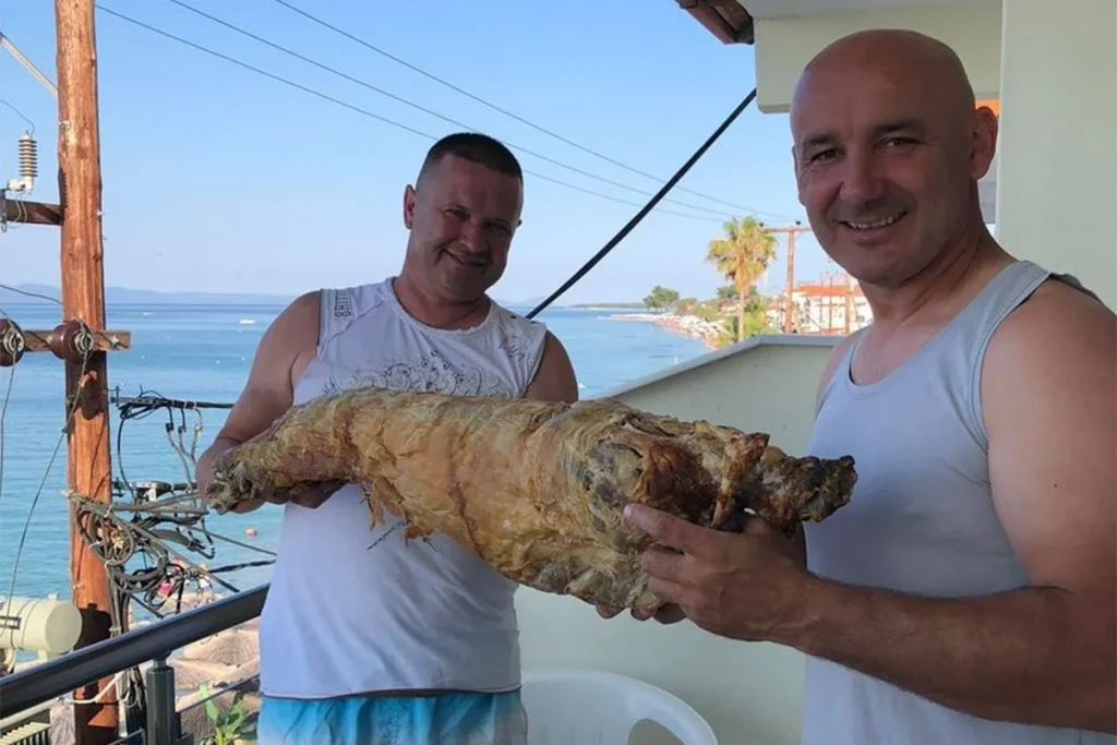 grčka,jagnje,turisti,more,ljetovanje