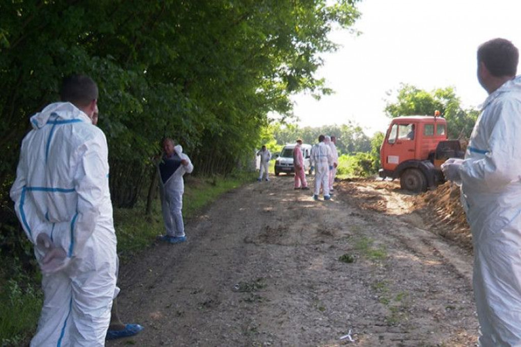 svinje ,afrička svinjska kuga,Bijeljina