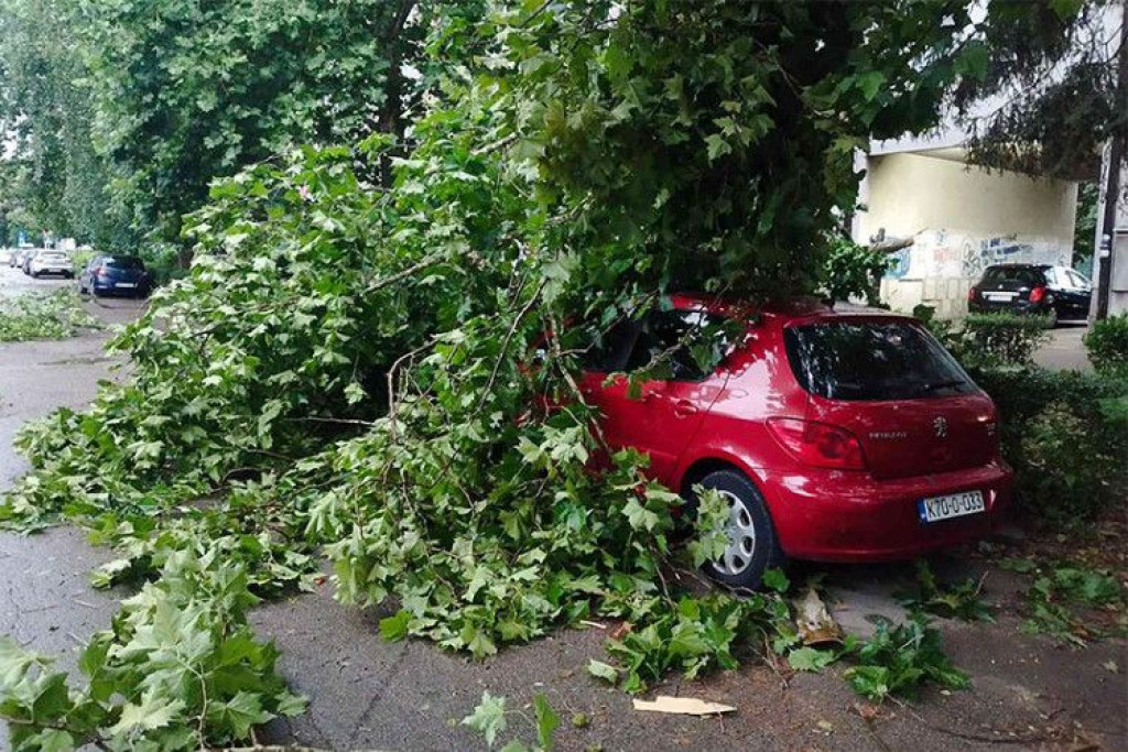stablo auto nevrijeme