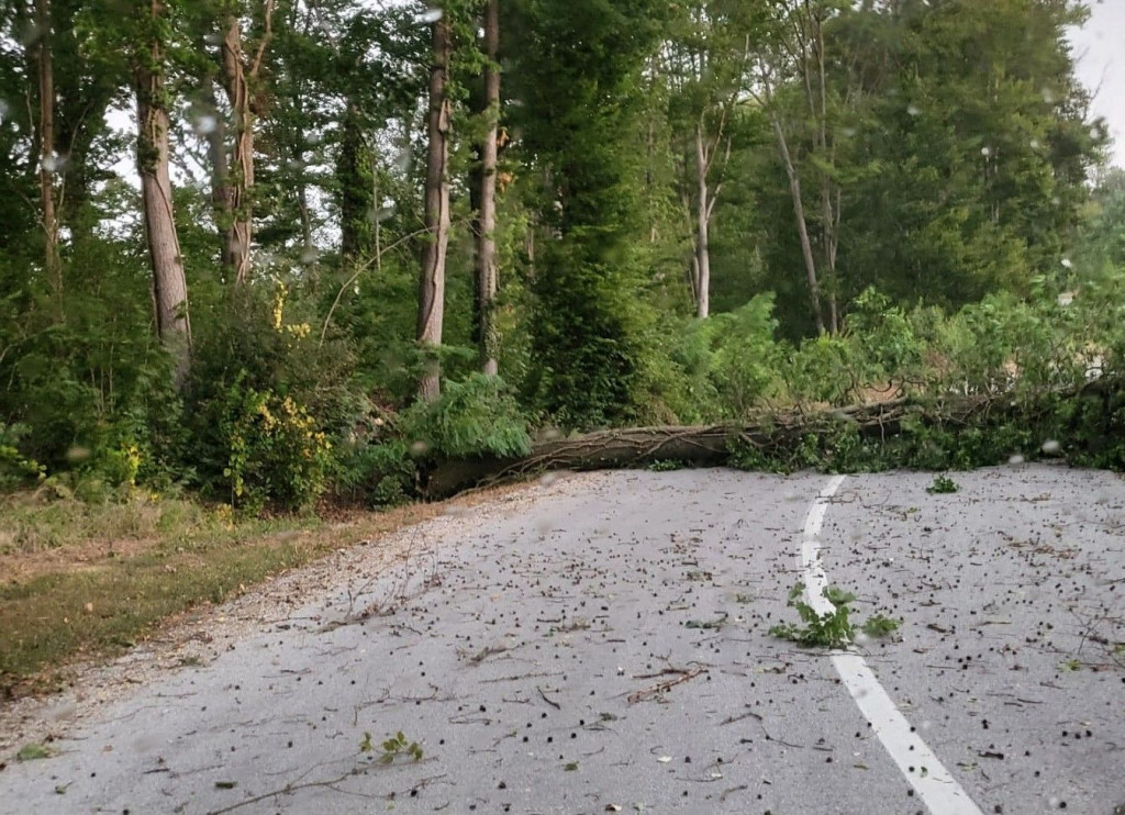 drvo na cesti nevrijeme