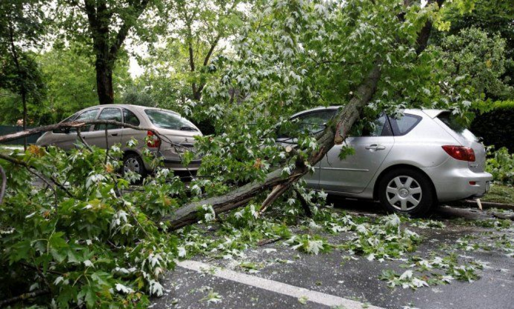 stablo srušeno na auto