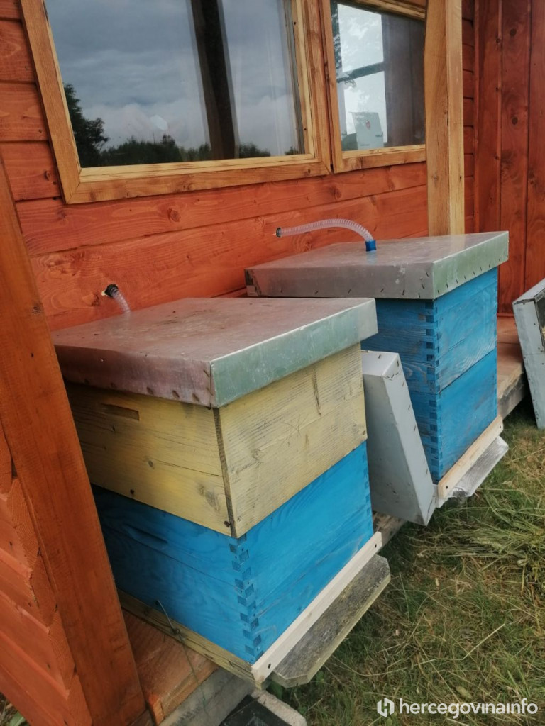 Apiterapija udisanje zraka iz košnica 