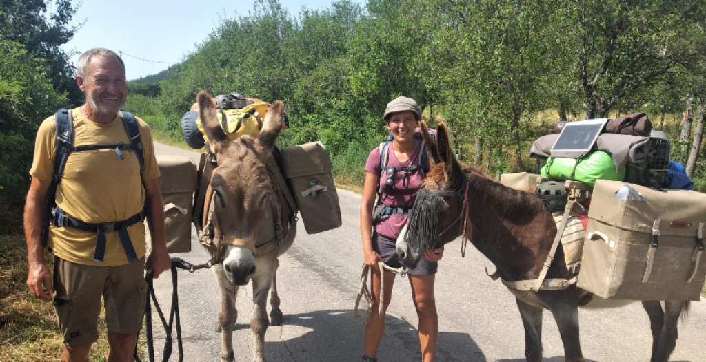 nomadi,magarac,Konjic