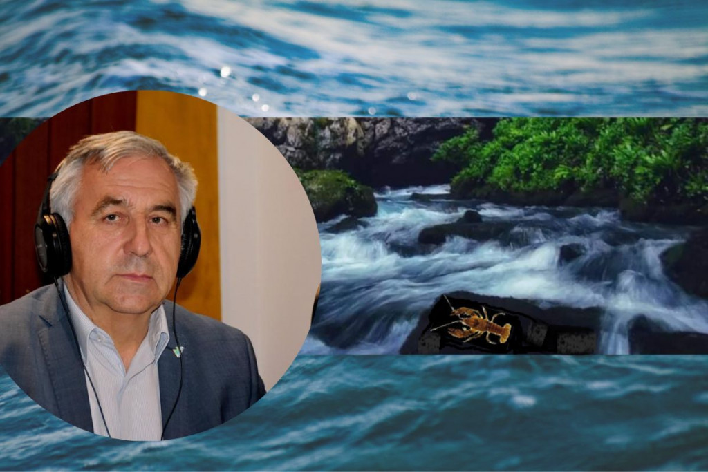 volujak,Josip Juričić,Aarhus centar u BiH