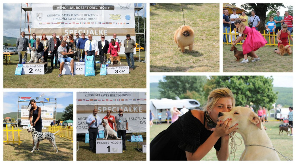 Izložba pasa Posušje