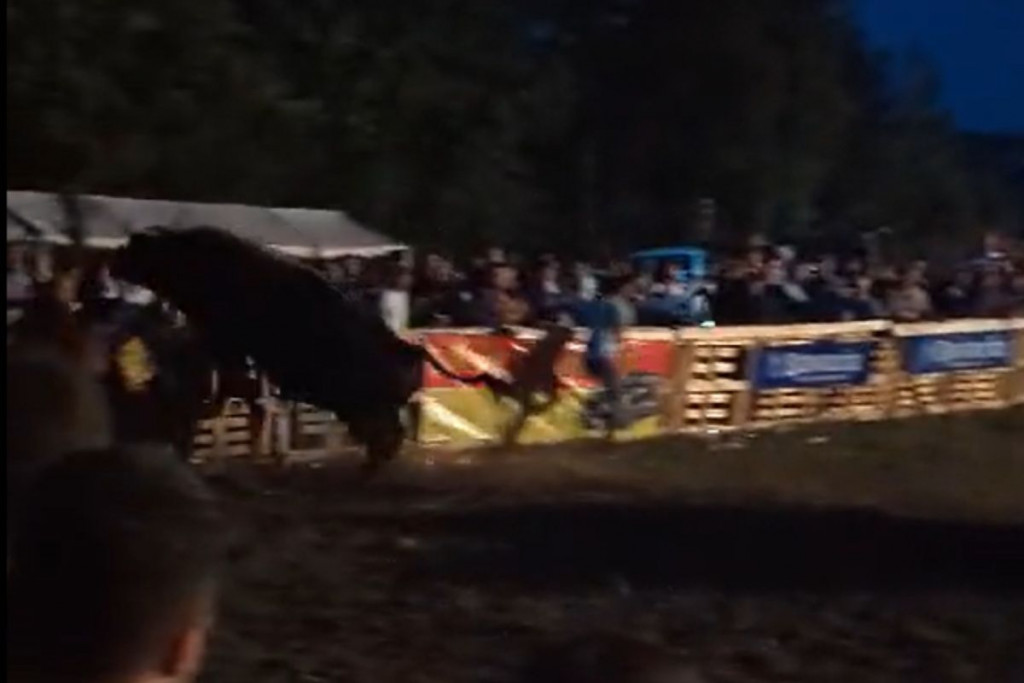 Bik ulijeće među posjetitelje