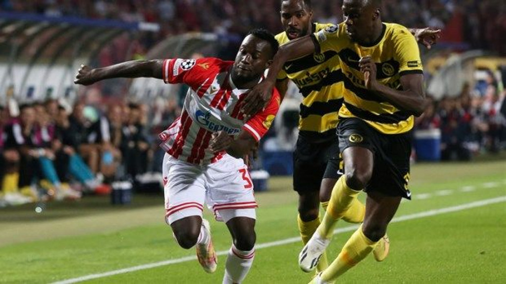 Crvena Zvezda Younga Boys