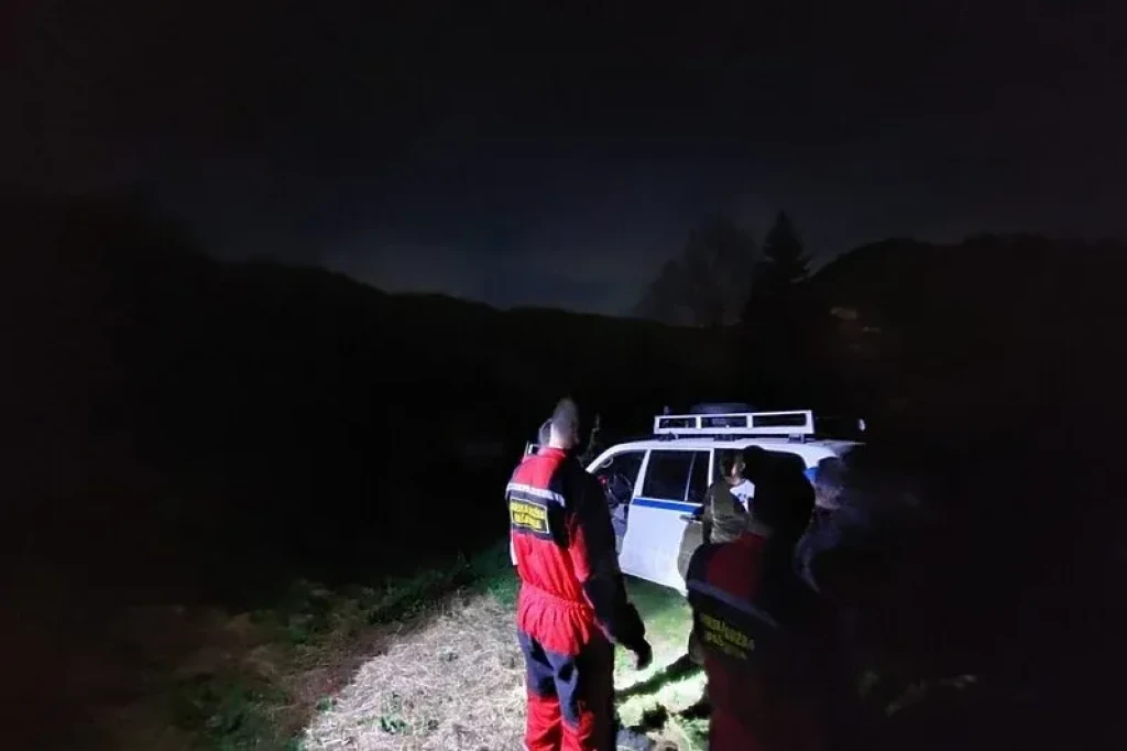 Muškarac poginuo kod Konjica na njega palo stablo 