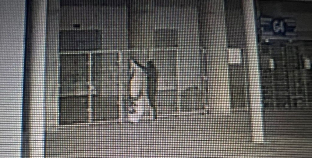 Navijači Opus Arena ustaška zastava