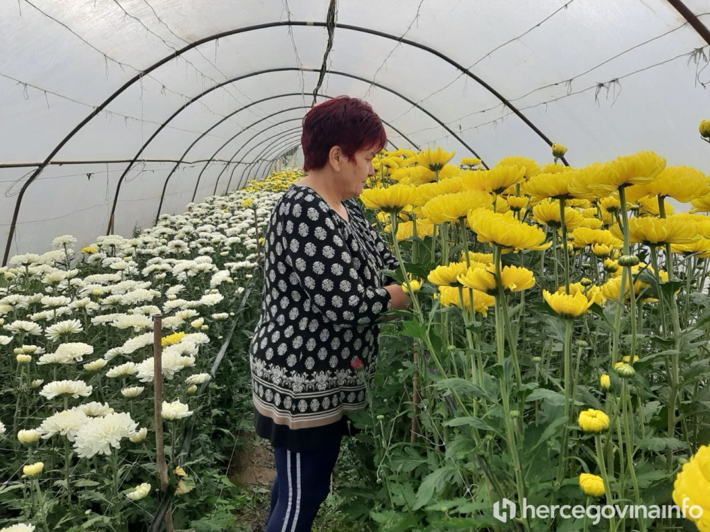 Sanja cvijeća u Gabeli Janja Prce