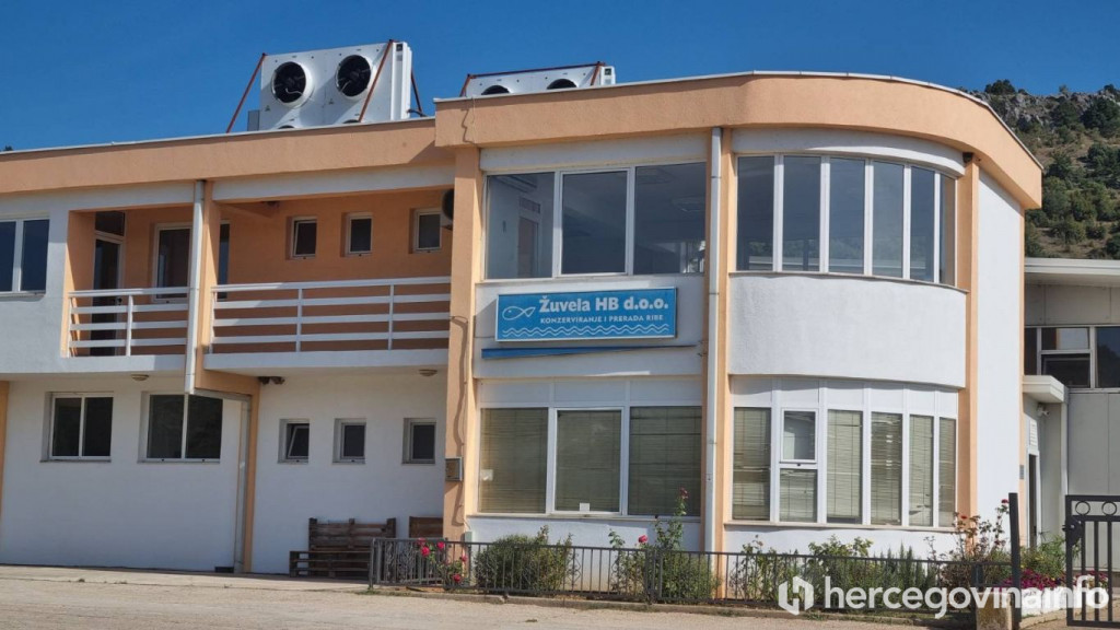 Prosvjed Žuvela Stolac