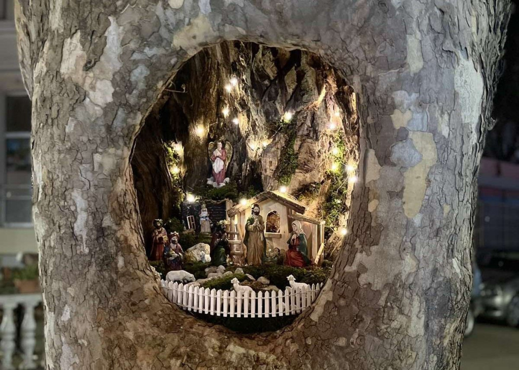 Jaslice u drvetu Mostar