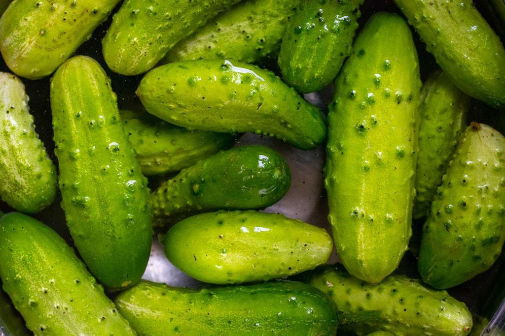 krastavci kornišoni