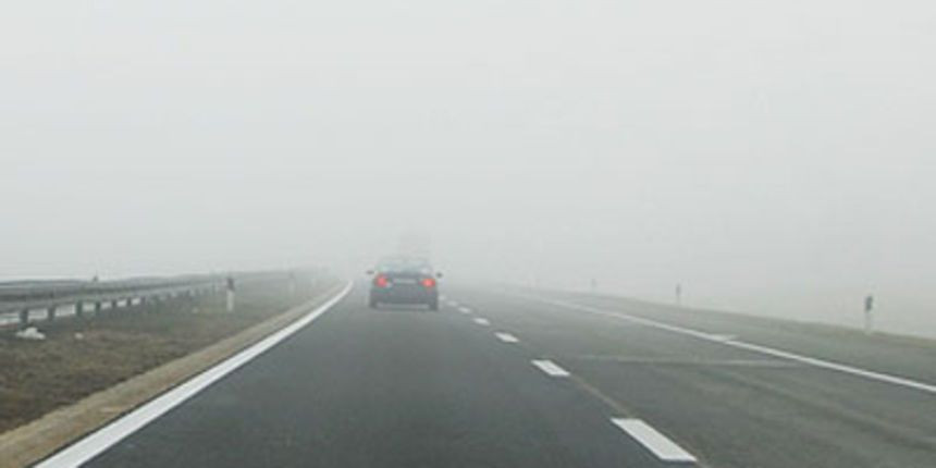 Magla cesta