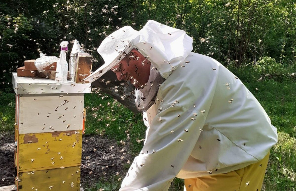 Pčelar Grgo Musa Čerigaj