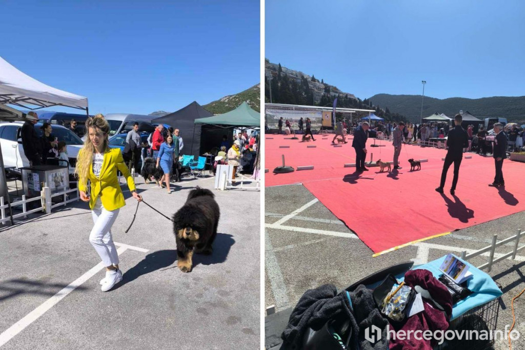 “Adriatic Winner Show”